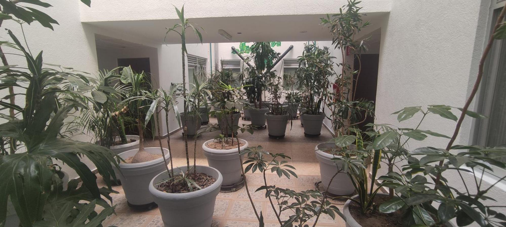 Hotel Habana Μεξικό Εξωτερικό φωτογραφία