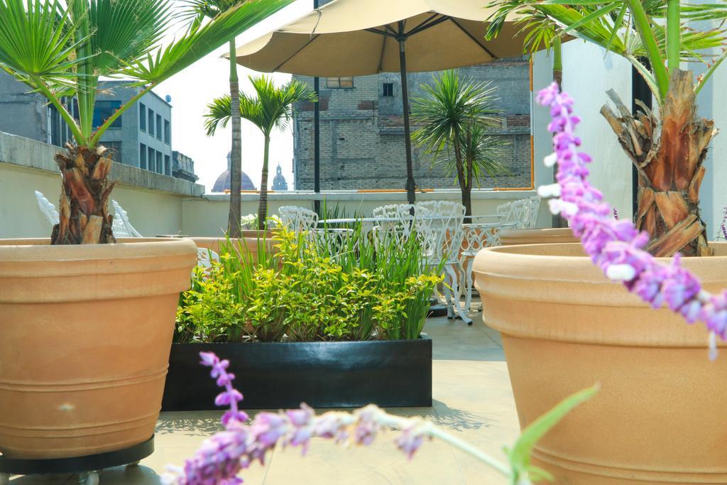 Hotel Habana Μεξικό Εξωτερικό φωτογραφία